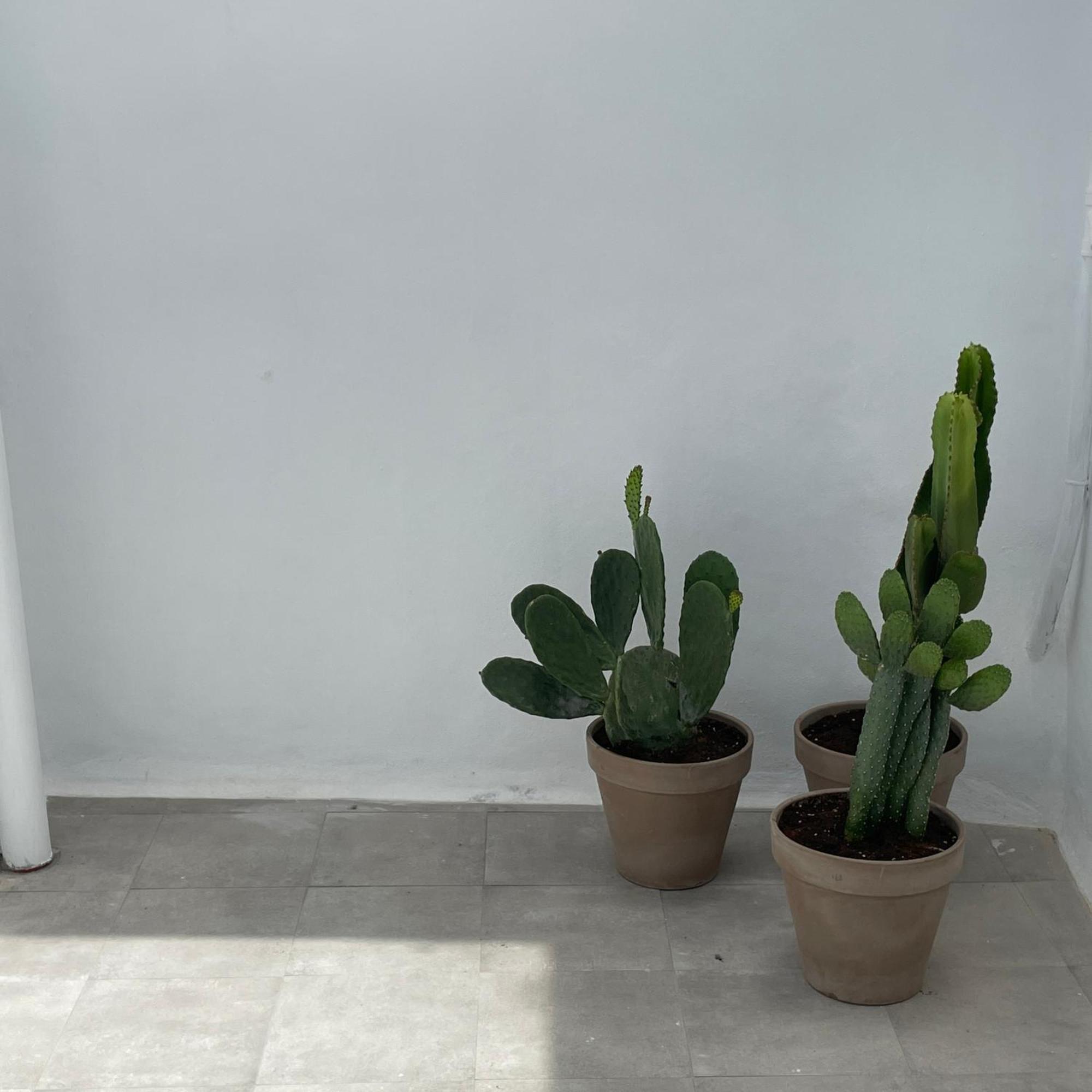 Casa Florinda Tarifa Apartment Ngoại thất bức ảnh