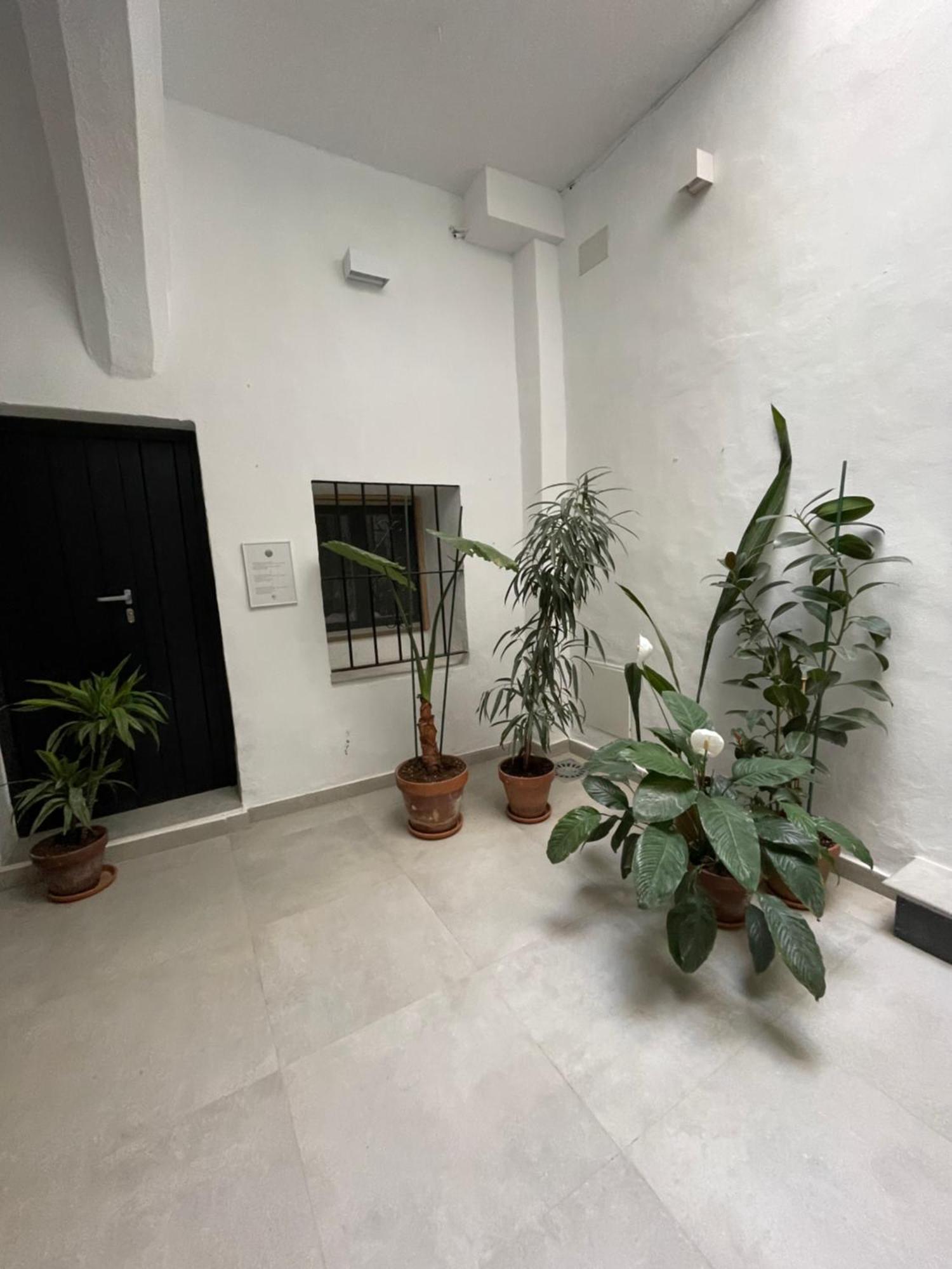 Casa Florinda Tarifa Apartment Ngoại thất bức ảnh